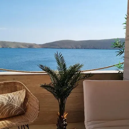 Pag Vista,chilli And Ginger Vlašići